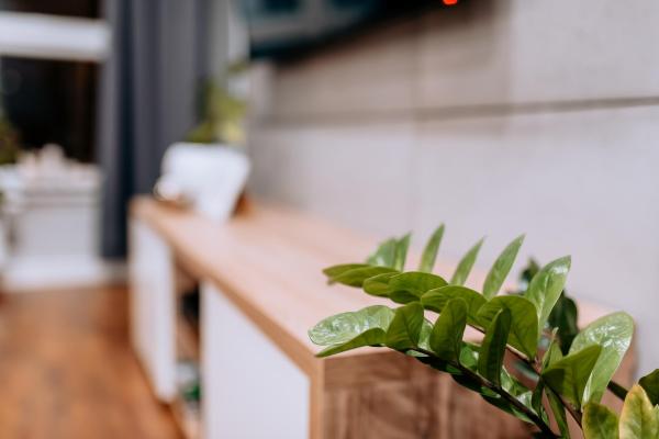 Ujecie salon - detal